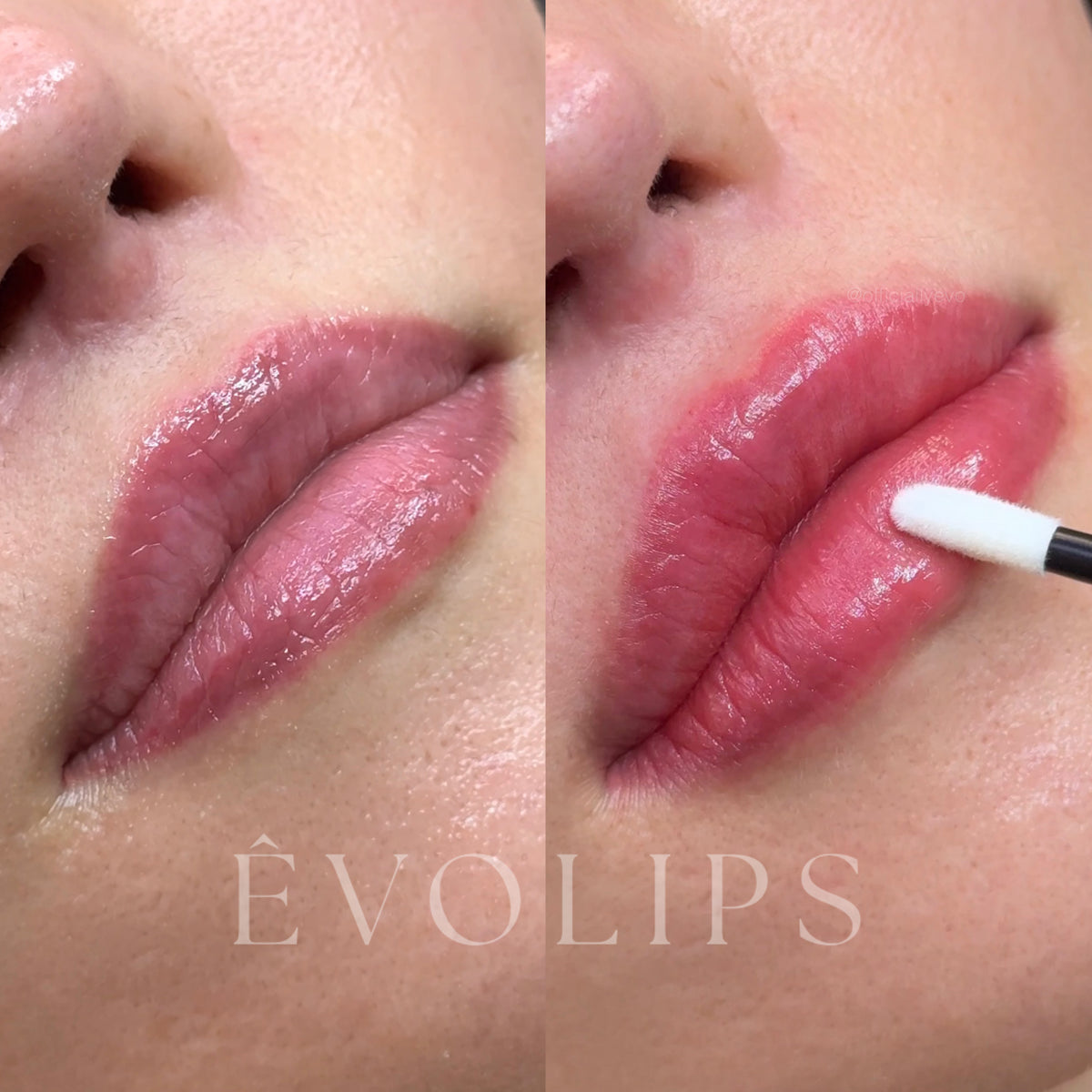 ÊVO gallery result