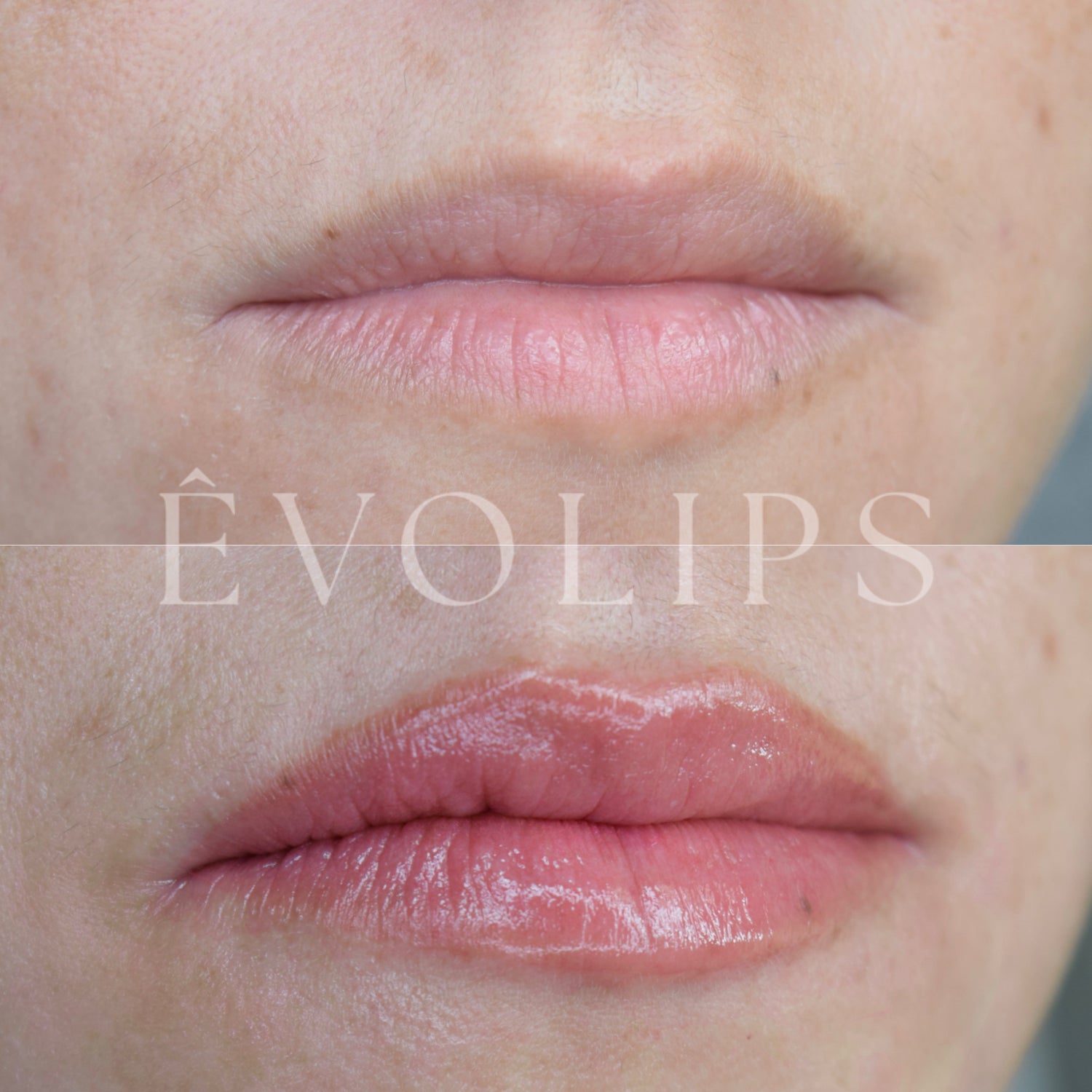 ÊvoLips