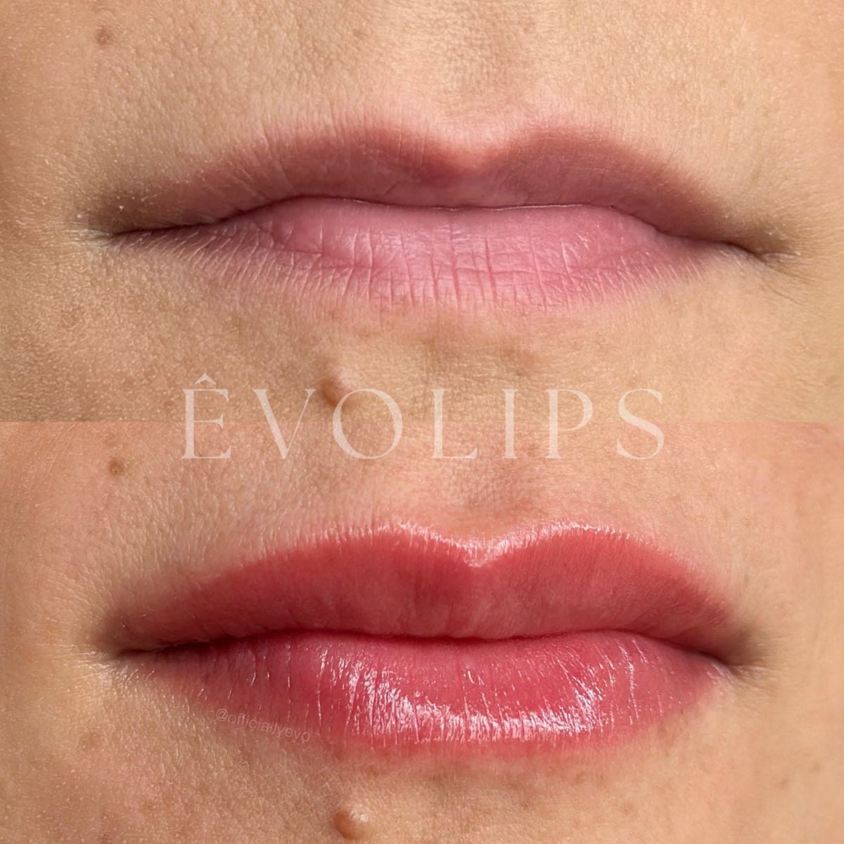 ÊvoLips