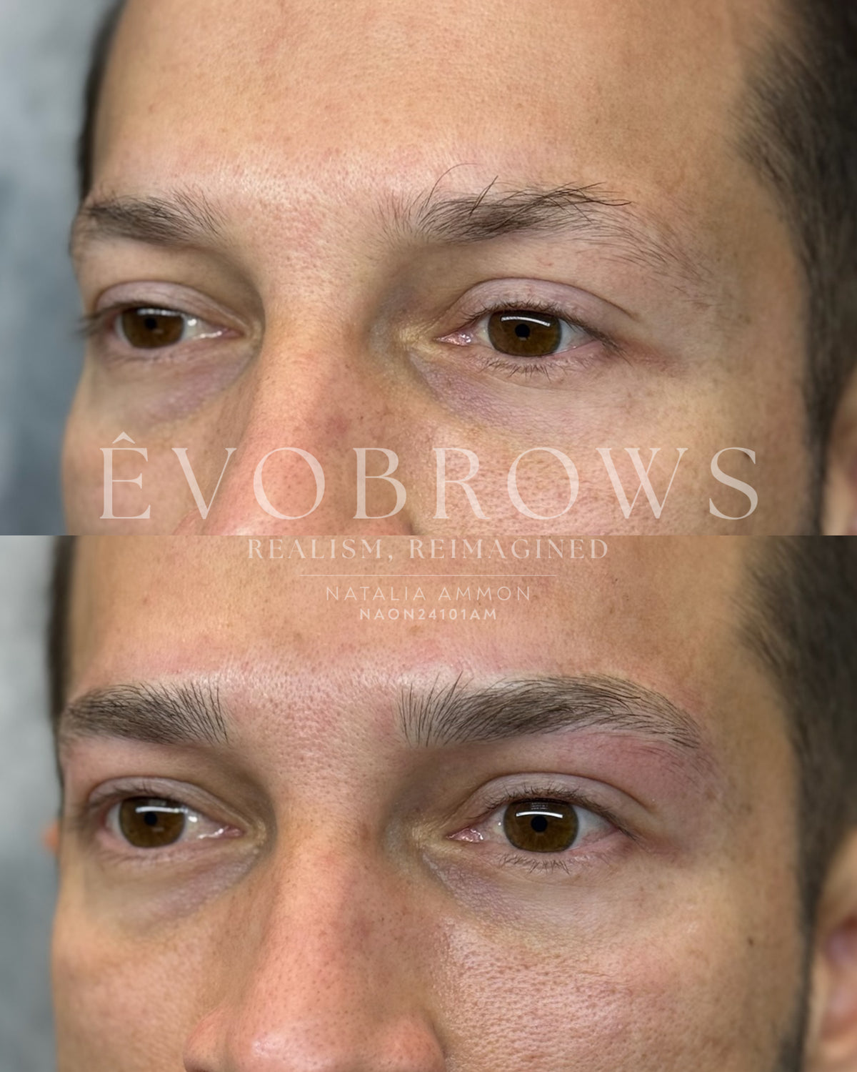 ÊVO gallery result