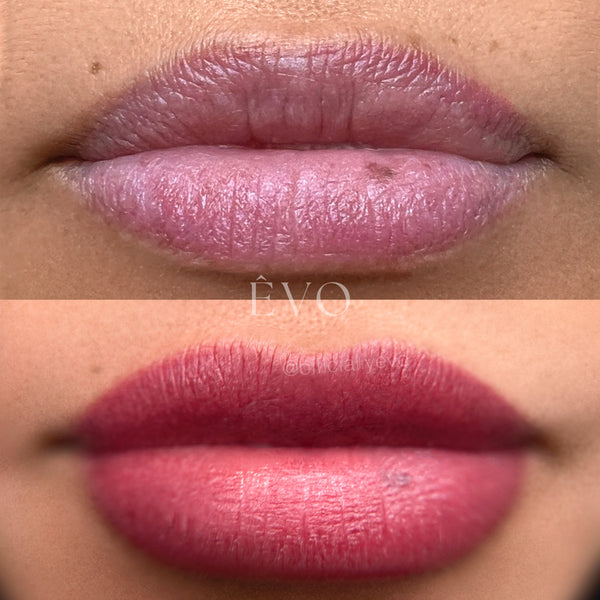 ÊvoLips