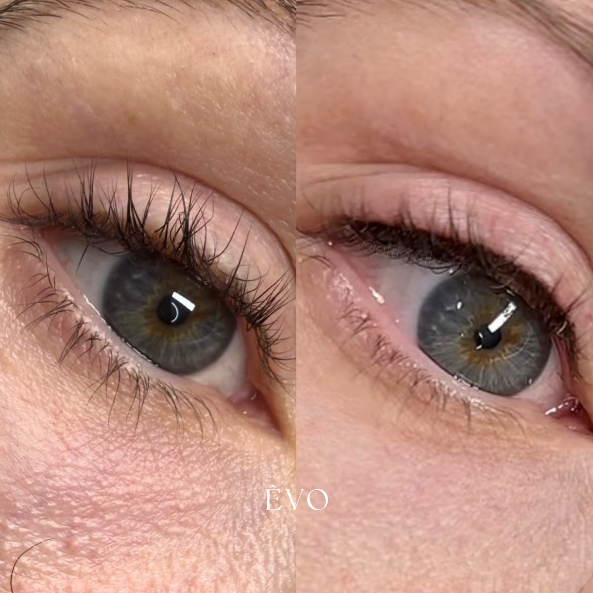 ÊVO gallery result